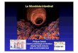 Le Microbiote intestina l - Hepatoweb.com · Utilisation dʼoutils moléculaires indépendants de la culture! Seulement 20 à 30 % du microbiote intestinal humain est cultivable à