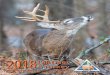 Hunting Regulations and Information ... - huntfish.mdc.mo.gov · 2018 Fall Deer & Turkey Hunting Regulations and Information. 3. Table of Contents. 4 General Information. 4 Hunter-Orange