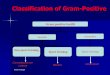 Classification of Gram-Positivefac.ksu.edu.sa/sites/default/files/bacilli_0.pdf · Classification of Gram-Positive Gram-positive bacilli Aerobic Anaerobic Non spore forming ... B