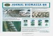  · Jornal Brasileiro das Indústrias de Biomassa 11 'assabr.com Edição: 11 Circulação: Novembro/Dezembro de 2013 Perspectivas para o uso dos pellets de madeira Prêmios do setor