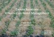 Canola Rotations Influence on Weed Management · Outline • Weed Management Phases in Canola – PPI, POST, HR Canola, Hybrids, ICM • Weed Survey data • HR Canola – a Resistance