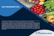 NUTRIGENÉTICA - dbmolecular.com.br · O DB Molecular oferece a seus clientes uma estrutura ... A nutrição é a ferramenta mais simples e eﬁcaz para cuidar da saúde e do bem-estar