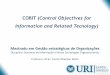 COBIT (Control Objectives for Information and Related ... · Mestrado em Gestão estratégicas de Organizações Disciplina: Sistemas de Informação e Novas Tecnologias Organizacionais