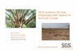ISCC audits in SE-Asia – Challenges with respect to land use … · Challenges with respect to land use change 2 Agenda Definition of Principle 1 Land use change on land with high-biodiversity