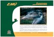 EMU novaehollandiae Dromiceius · más grande del mundo con un peso de hasta 55 kg. y 1,80 cm. de alto. Se alimenta de insectos y vegetales y la incubación de los ... EMU novaehollandiae,