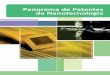 Panorama de Patentes de Nanotecnologia - abimaq.org.brabimaq.org.br/Arquivos/Html/IPDMAQ/INPI patentes ABDI.pdf · tador, registros de desenho industrial, registros de indicações