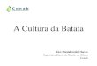 A Cultura da Batata - ceasa.gov.br · A Cultura da Batata (Solanum Tuberosum L.) • Solanácea produtora de tubérculos; • Nativa da Cordilheira dos Andes; • Introduzida na Europa