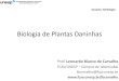 Biologia de Plantas Daninhas - UNESP: Câmpus de ... · Plantas “daninhas” usadas em ornamentação ... Plantas “daninhas” usadas na alimentação humana caruru (Amaranthus