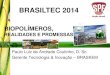 BRASILTEC 2014 - IMA - Instituto de Macromoléculas - UFRJ · Enorme potencial para produção sustentável e desenvolvimento de produtos inovadores QUÍMICA VERDE / RENOVÁVEIS 