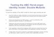 Testing the ABC floral-organ identity model: Double Mutants outlines/Lecture 23- Testing the... · Testing the ABC floral-organ identity model: Double Mutants Objectives: To test
