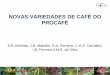 NOVAS VARIEDADES DE CAFÉ DO PROCAFÉ - … · NOVAS VARIEDADES DE CAFÉ DO PROCAFÉ S.R.Almeida, J.B. Matiello, R.A. Ferreira, C.H.S. Carvalho, I.B. Ferreira e M.B. da Silva