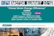“Global Motor Energy Efficiency” GMEE · “Global Motor Energy Efficiency” GMEE Dan Delaney ... Brazil NBR 17094-1 ... Global Motor Energy Efficiency 
