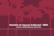 Relatório de Impacto Ambiental - RIMA Usina Hidrelétrica ...licenciamento.ibama.gov.br/Hidreletricas/Estreito - Rio Parnaiba... · Sumário Introdução Processos e Etapas do Licenciamento
