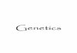 Genetics - Mr. Hill's Science Websitemrscienceut.net/Genetics.pdf · The DNA they inherit from their parents determines many other personal characteristics and traits, like whether