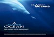 itle - Plastic Oceans Foundation · Plastic Oceans Foundation A Plastic Ocean – Educational Supplement 2 Table of Contents Table of Contents About this Guide About the Film Director’s