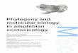 Phylogeny and molecular biology in amphibian ecotoxicology · implicados na resposta de defesa a uma contaminação do meio ambiente por metais pesados. Como primeiro passo neste