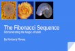 The Fibonacci Sequenceprojectfibonacci.org/wp/wp-content/uploads/rivera-kimberly-clinton.pdf · The Fibonacci Sequence The Fibonacci Sequence begins with a 1, followed by another