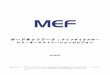 MEF Third Network LSO Vision 2015011 05 Feb …¯加入者が顧客ウェブポータルを通じて、あるいはビジネスアプリケーションによるプログラムを通じて、