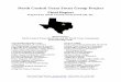 North Central Texas Focus Group Project Final Report · North Central Texas Focus Group Project Final Report Prepared by North Central Texas InterLink, Inc. ... Diva Garza - ITC Personnel