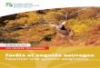 Forêts et ongulés sauvages - oncfs.gouv.fr · ISBN: 9782- -37170-010-9. ConteXte Des massifs forestiers sont en situation de déséquilibre « ongulés- environnement ». Pour éviter