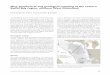 New geophysical and geological mapping of the eastern ... · 85 tectonism with inversion, transtension and thrust faults developing (Fig. 2). The Palaeogene compression-related faulting