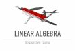 LINEAR ALGEBRA - isical.ac.inacmsc/WMSFMLT2016/LinearAlgebra.pdf · PLAN OF ACTION Part I — Geometry of Multivariate Data 1. Vector space modelling of multivariate data 2. Understanding