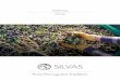 Azeitonas Olives - silvas.eusilvas.eu/en/pdf/tech_olives.pdf · Azeitona preta, escurecida por oxidação, de origem portuguesa ou espanhola, da variedade Maçanilha ou Hojiblanca,
