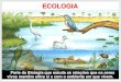 ECOLOGIA - colegioequipe.com.brcolegioequipe.com.br/muriae/wp-content/uploads/sites/5/Ecologia... · A onça-pintada, mesmo correndo o risco de extinção, pode exercer forte pressão