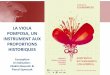 LA VIOLA POMPOSA, UN INSTRUMENT AUX PROPORTIONS …e.boussoir.fr/wp-content/uploads/2014/03/Presentation_Pomposa_JMA... · La Viola Pomposa, histoie d’un mythe ! « … Le fameux