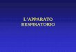 L’APPARATO RESPIRATORIO - histology.altervista.org RESP.pdf · Origine dell’apparato respiratorio ... a dx e 2 a sx. Durante la 6^ secondari formano 10 bronchi terziari a dx e