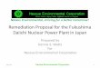 Remediation Proposal for the Fukushima Daiichi Nuclear ... Proposal for the... · Kawamata Labs/ Fukushima/Japan • The NRMB was designed and developed by Peter Shastri a gifted