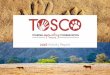 2016 Activity Report - toscotrust.files.wordpress.com · 4 TOSCO : Tourism supporting Conservation 2016 Activity Report 5 Research Kwando Carnivore Project Vehicle maintenance (20