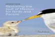Audubons ision Restoring the Gulf of Mexico for Birds and ... · 6 Audubon’s Vision: Restoring the Gulf of Mexico for Birds and People The Gulf of Mexico for Birds 7. 9. 80% - RESTORE