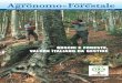 BOSCHI E FORESTE, VALORE ITALIANO DA GESTIREconaf.it/sites/default/files/AF_03_11-web_0.pdf · 4 il ruolo multifunzionale del bosco per la gestione del territorio e del paesaggio