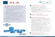 Catalogo Generale Prodotti Distribuzione Italia - 15 Fiamm SLA - scheda tecnica.pdf · insufficiente a recuperare la capacità della batteria. ... Capacità residua durante lo stoccaggio