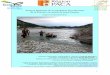 Analyse génétique de la population de truite fario de la ...peche-hautes-alpes.com/wp-content/uploads/2013/11/Etude... · Cette analyse multidimensionnelle (AFC) sert de premier