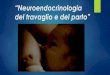 “Neuroendocrinologia del travaglio e del parto” del travaglio... · gravidanza il feto sia capace di produrre segnali sia di tipo fisico che ... della fisiologia, il Team della