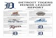 DETROIT TIGERS MINOR LEAGUE REPORTdetroit.tigers.mlb.com/.../2017_Minor_League_Report_8_30_17.pdf · Adduci and Omar Infante each had two hits and drove in a run. Adduci now has two-or-more