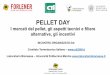PELLET DAY - Home | Laboratorio Biomasse · 10,30 –10,50 Il mercato del pellet di legno e degli apparecchi termici in Italia - Annalisa Paniz –AIEL ... INCERTEZZE DEL MERCATO
