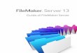 FileMaker Server 13 · FileMaker e Bento sono marchi di FileMaker, Inc. registrati negli U.S.A. e in altri Paesi. Il logo della cartella, FileMaker WebDirect e il logo Bento sono