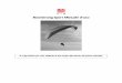 Boomerang Sport Manuale d’uso - Para2000flight.manual.free.fr/gin-boomerangsport_it.pdf · Grazie per aver scelto il Boomerang Sport. Siamo certi che questo parapendio ti condurrà