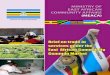 Brief on trade in services under the East African ... · Brief on trade in services under the East African Community Common Market Brief on trade in services under the East African