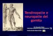 Tendinopatie e neuropatie del - dottorvalent.it · • Specialista in Medicina Fisica e Riabilitazione ... richiedano movimenti ripetuti di estensione e supinazione dell’avambraccio