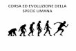 CORSA ED EVOLUZIONE DELLA SPECIE UMANA - Home - … ED... · •L'anatomia umana si è sviluppata più di 2 Milioni di Anni fa sotto la pressione e lo stimolo indotto da un’ 