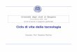 Università degli studi di Bergamo di vita... · 2006-03-06 · mercato o coerente con un segmento dello stesso». Ciclo di vita della tecnologia . ... DELLA TECNOLOGIA DI PRODOTTO