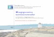 Fin Rapporto semestrale - unibg.it · quali precedono la presentazione dello studio monografico, in questo rapporto ... le operazioni di acquisto di Ukrsotsbank (Ucraina) e Upi-Banka