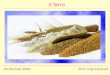 Il farro - ilcrocicchio.it sul farro 20.1.04.pdf · Avena (Avena spp.) * Segale (Secale cereale) Triticale * Farro (Triticum spp.) ... per la granella nuda e la maggior produttività