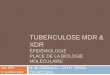 TUBERCULOSE MDR & XDR - Infectio-lille.com · tuberculose mdr & xdr ÉpidÉmiologie place de la biologie molÉculaire . n. blondiaux – ch g. dron, tourcoing . xxe jrpi . 1. er