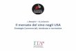 L.Bongini G.LoCascio Il mercato del vino negli USA · L.Bongini –G.LoCascio Il mercato del vino negli USA Strategie Commerciali, tendenze e normative. ... •Finanziario Supporto