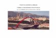 Ponti in contesto urbano - studioromano.org · di ottimizzazione strutturale e di cura del dettaglio, legati ai ponti in contesto urbano e di particolare valenza estetica. Tutte le